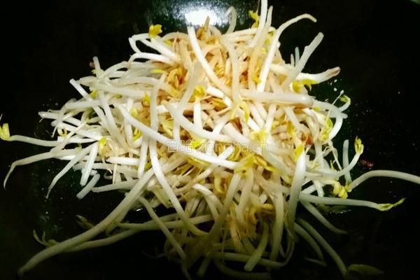 辣炒豆芽的做法图解5