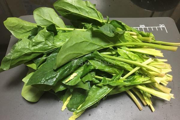 私房味增炸酱面的做法图解4