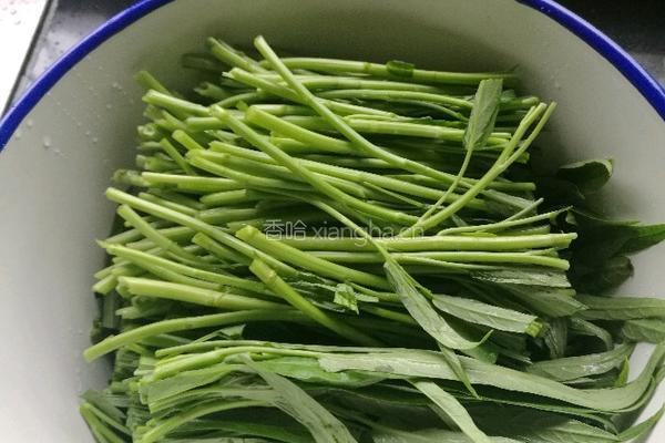 茄汁空心菜的做法图解1
