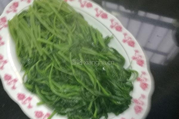 茄汁空心菜的做法图解9
