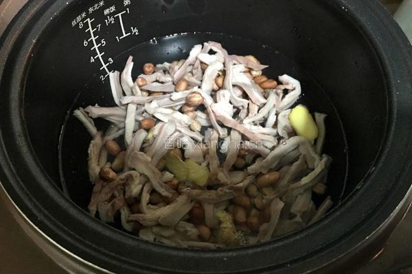 鹰嘴豆花生米煲猪肚汤的做法图解3