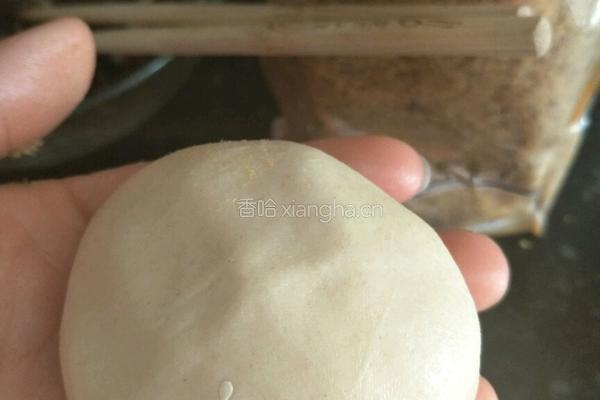 梅干菜和肉松芝麻饼的做法图解12