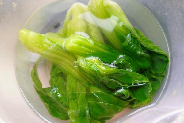 台湾卤肉饭的做法图解13