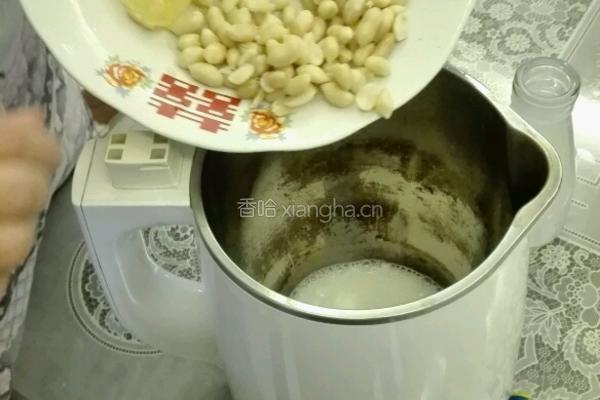 牛奶花生露的做法图解2