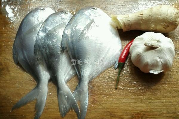 焖白鲳鱼的做法图解1