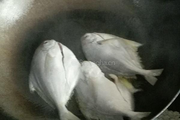 焖白鲳鱼的做法图解4