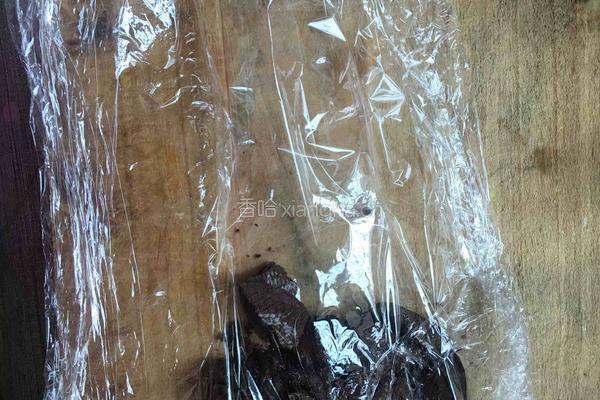 盆栽酸奶的做法图解4