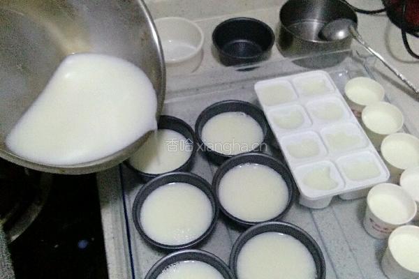 牛奶布丁的做法图解5