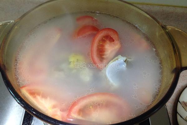 西红柿土豆骨汤的做法图解4