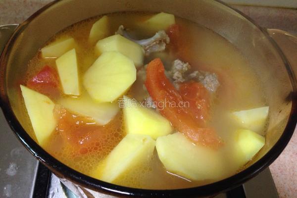 西红柿土豆骨汤的做法图解5