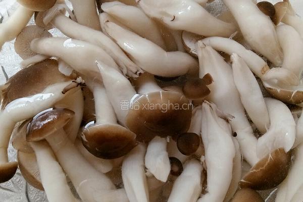 蟹黄焗蘑菇的做法图解2