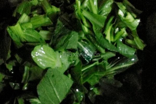 油菜虾皮的做法图解4