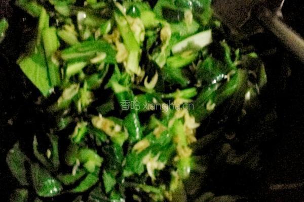 油菜虾皮的做法图解5