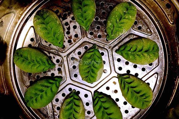 素馅菠菜包子的做法图解21