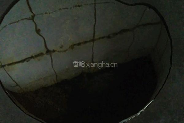 春之乐的做法图解8