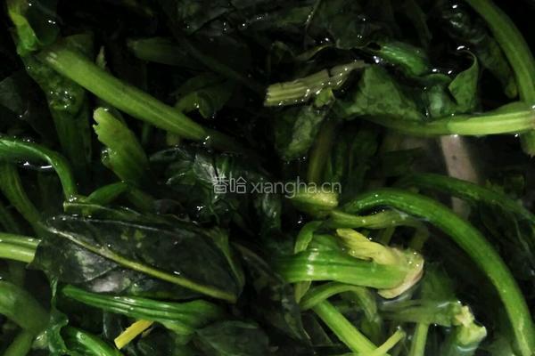 油香炝菠菜的做法图解2