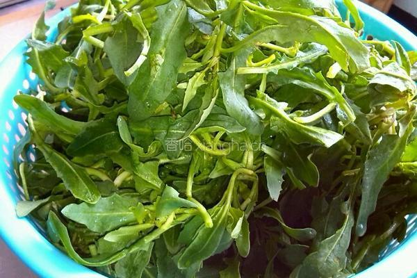 荠菜团子的做法图解1