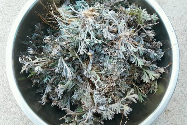 拌白蒿的做法图解1