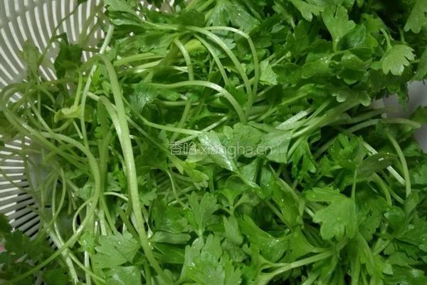 牛肉香芹饺子的做法图解5