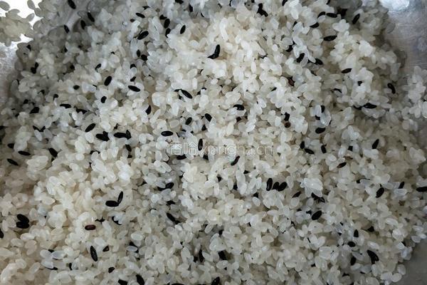 鱼香肉丝盖饭（简单）的做法图解1