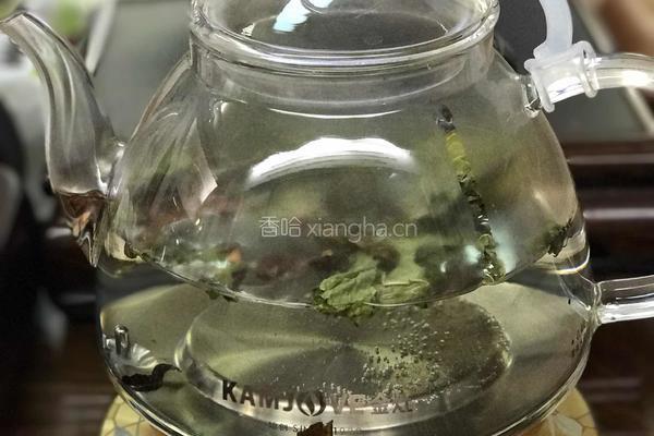 春分桑叶茶的做法图解2