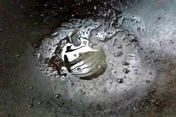 豆角鸡蛋炒饭的做法图解4