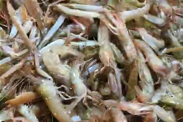 肉三鲜蒸饺的做法图解1