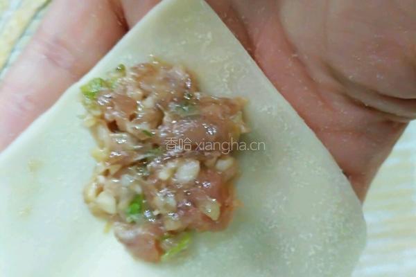 青葱鲜肉小馄饨的做法图解10