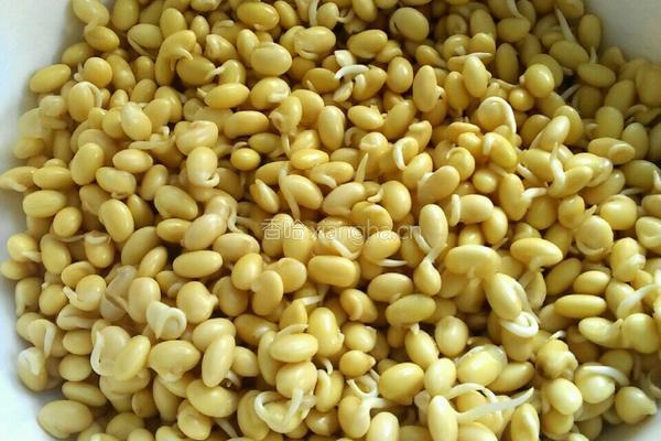 黄豆芽炒肉皮的做法图解1