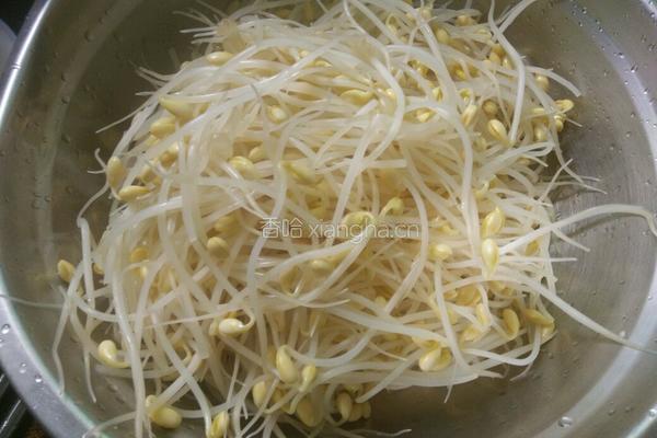 凉拌黄豆芽的做法图解3