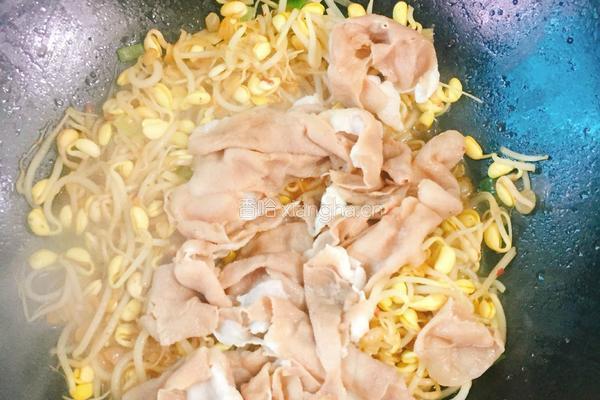 肥牛炒豆芽的做法图解9