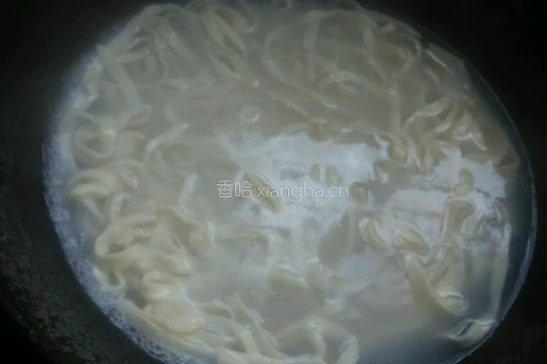 凉拌手擀面的做法图解4