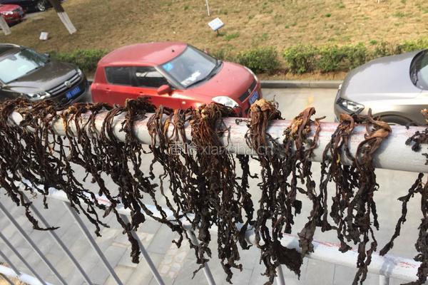 自制梅干菜的做法图解4