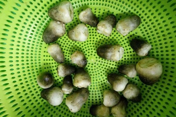 草菇炒肉的做法图解3