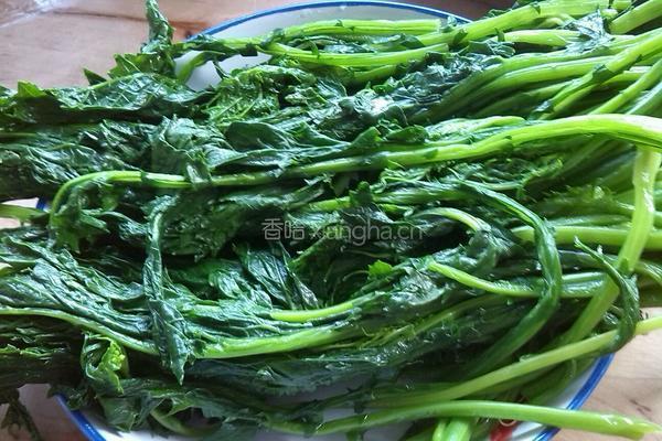 雪里蕻拌黄豆的做法图解5