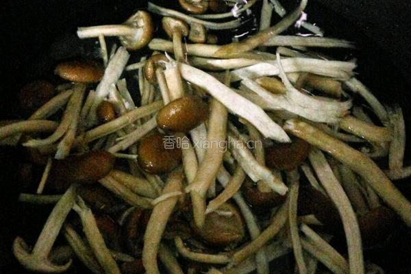 鲜茶树菇炒肉的做法图解4