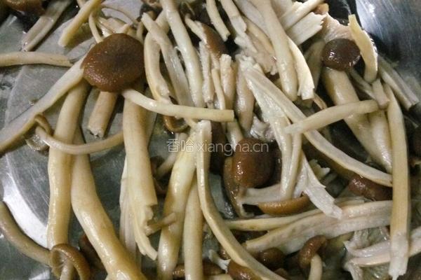 鲜茶树菇炒肉的做法图解5