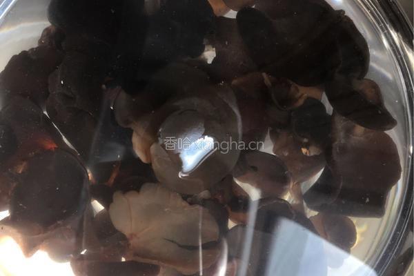 白菜炒木耳的做法图解1