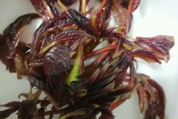 香椿拌豆腐的做法图解3