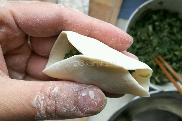 猪肉菠菜饺子的做法图解11