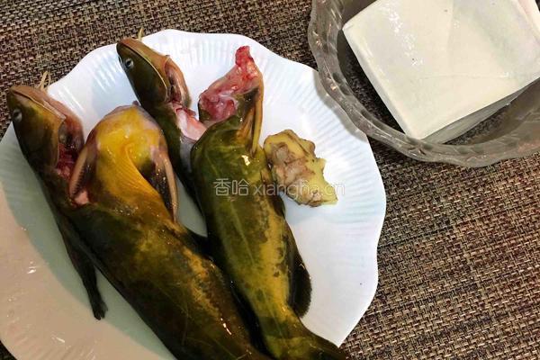 黄骨鱼豆腐汤的做法图解1