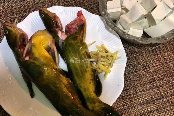 黄骨鱼豆腐汤的做法图解2