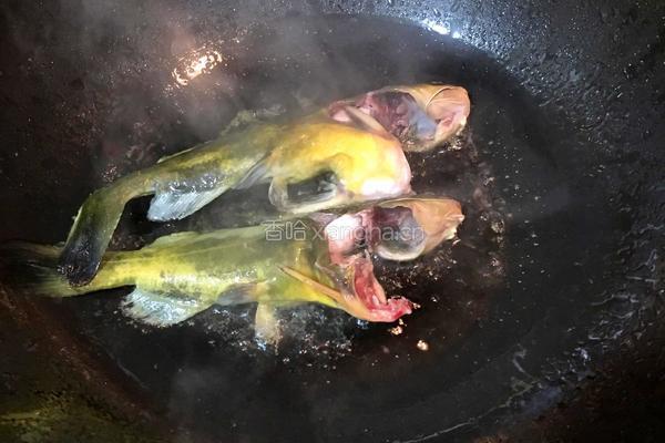 黄骨鱼豆腐汤的做法图解3