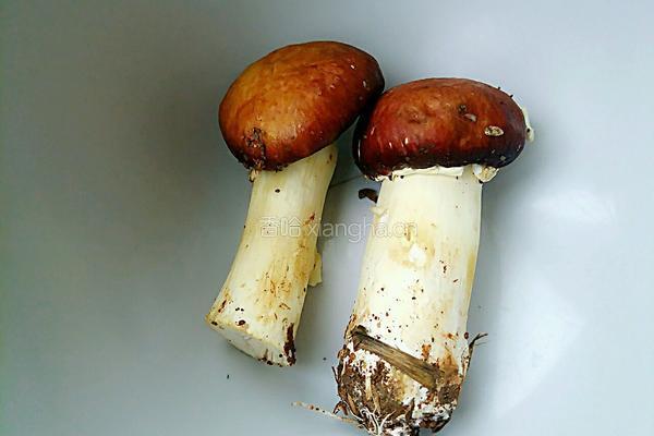 黄油煎松茸#年夜饭的做法图解1