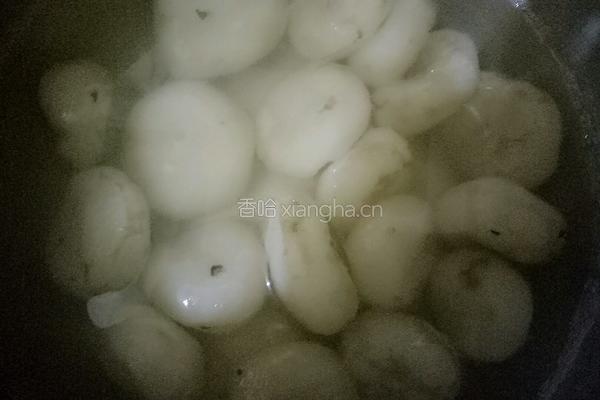 枸杞马蹄水的做法图解4