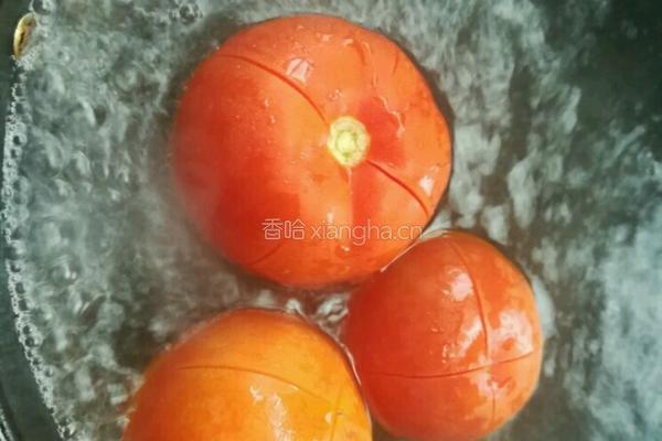 番茄酱的做法图解2