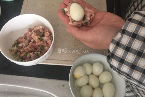 鹌鹑蛋肉丸(自创)的做法图解5