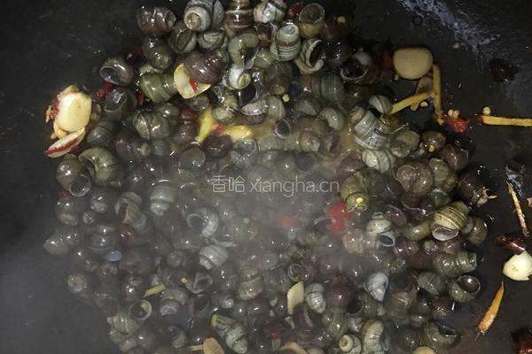 爆炒螺丝的做法图解4