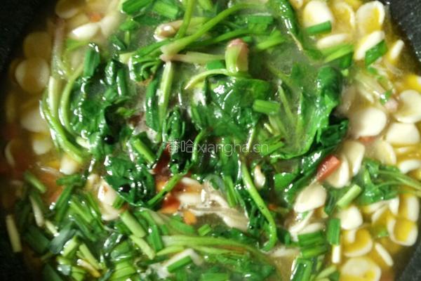 烩麻食的做法图解7