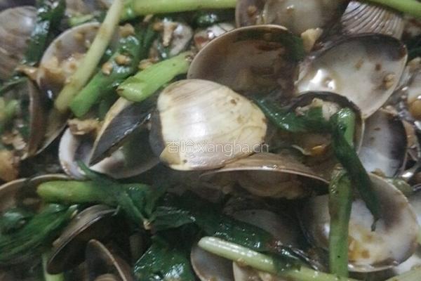 花甲螺（不知道这个螺是叫花甲螺吗）的做法图解5